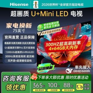 海信 电视75英寸E5 300Hz高刷新300+分区电视小墨