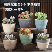 LISM 多肉花盆粗陶透气大陶瓷 6个