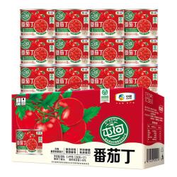 屯河 中粮屯河番茄丁200g*12罐 0脂肪无添加去皮西红柿烹饪调味料