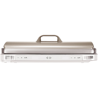 Panasonic NF-X1-N 电烤盘 香槟金 mini版