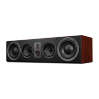  HiVi/惠威 RM800C 音响中置