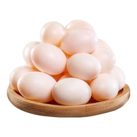 品鲜夫人新鲜初产鸽子蛋农家精选杂粮谷饲喂养鲜鸽蛋宝宝鸽蛋头窝鸽蛋 60枚新鲜初产鸽蛋【礼盒包装】