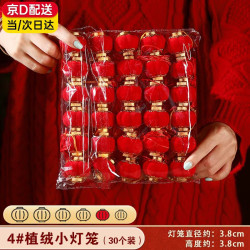 嘉德朗 小灯笼挂件装饰树上 2026马年新年装饰件 4#小灯笼(30个装) 植绒