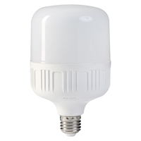洛林 E27螺口柱形灯泡 30W 白光