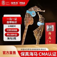 移动端：福東海 福东海大海马干货公母配对海龙海马干增炖高汤中煲汤药材泡酒