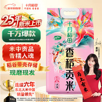 十月稻田 香稻贡米 5kg