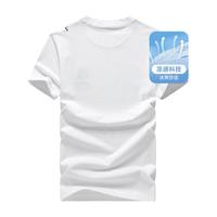 七匹狼短袖T恤男夏季抗菌除螨圆领打底衫男士冰爽凉感短T男装冰藻泥上衣 803(本白)-凉感科技 180/96A/XXL