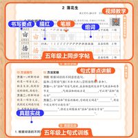 2025版王朝霞活页同步阅读句式训练大全同步字帖三四五六年级上下册小学语文人教版活页默写计算看图写话一二年级专项训练每日一练