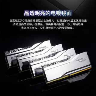 芝奇 皇家戟 DDR5 6000MHz AMD EXPO 内存条