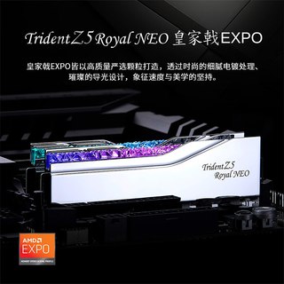 芝奇 皇家戟 DDR5 6000MHz AMD EXPO 内存条