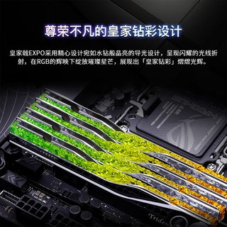 芝奇 皇家戟 DDR5 6000MHz AMD EXPO 内存条