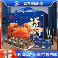 移动专享、移动端：星河湾 江苏金标大闸蟹 全母蟹 3.5两 8/10只