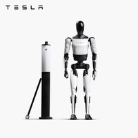 TESLA 特斯拉 Tesla Bot 人形玩偶机器人摆件