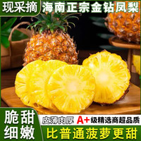 十里馋 海南金钻凤梨 2枚装 净重2.5-3斤