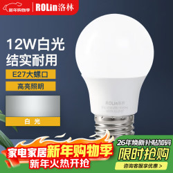 洛林 ROLin 洛林 LED灯泡 E27 12W 白光