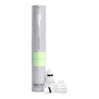 南极风PR5000羽毛球耐打王训练不易打烂12只装室内外专业比赛装备高弹力 1筒 【共12只】 76速