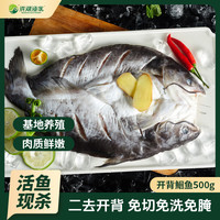 洪湖渔家 开背鮰鱼500g 腌制半成品烤鱼 冷冻生鲜