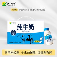 小西牛 青海小西牛纯牛奶营养早餐小蓝瓶纯牛奶243ml*12瓶