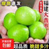 京喜加 福建牛奶大青枣 现摘新鲜大枣 甜脆鲜枣子新鲜500g 单果50g起