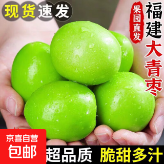 京喜加 福建牛奶大青枣 现摘新鲜大枣 甜脆鲜枣子新鲜500g 单果50g起