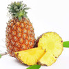 京喜加 海南正宗金钻凤梨非菠萝新鲜现摘1粒 单果400g+