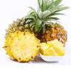京喜加 广东徐闻香水菠萝新鲜水果 优选1个装 单果1.3斤+