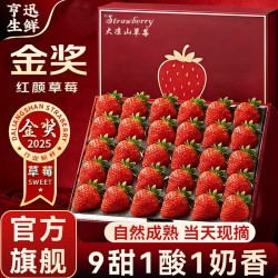 亨迅 草莓大凉山99红颜奶油草莓非丹东草莓甜现摘新鲜时令水果生鲜 2盒装丨净重600g