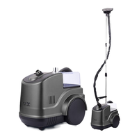 域桥 D02 挂烫机 灰色