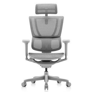 PLUS会员：Ergonor 保友优b雄鹰 电脑椅 银白网