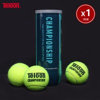 移动端：天龙 TOUR pound 网球高弹耐磨训练球比赛练习用球 4粒装24听