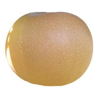 京鲜生 莱阳秋月梨 净重4.5斤 单果250g起