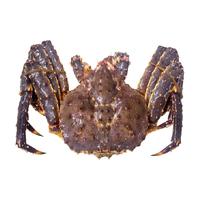 渔传播 包活到家俄罗斯帝王蟹顺丰次日达