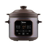 Midea 美的 南都陶釜系列 DG50Easy201 电炖锅 5L