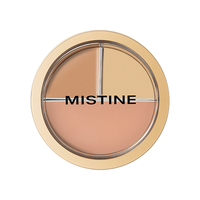蜜丝婷（Mistine）丝柔持妆遮瑕液膏痘印遮盖雀斑黑眼圈女遮暇笔盘 【三色遮瑕盘】02-隐形黑眼圈 3色