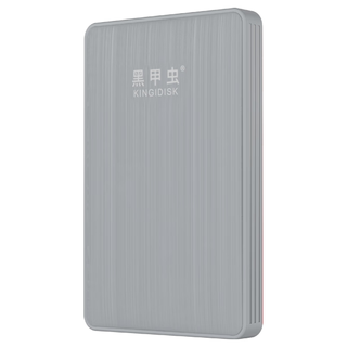  黑甲虫 加密 移动硬盘  时尚灰 500GB