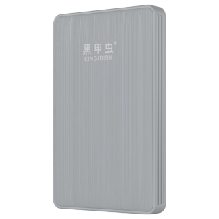  黑甲虫 加密 移动硬盘  时尚灰 500GB