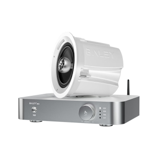 八雷 J6家庭影院套装发烧级吸顶音响家用客厅电视背景音乐套装