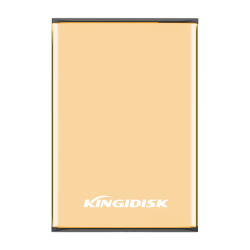 黑甲虫 SLIM系列 SLIM100 2.5英寸Micro-B便携移动机械硬盘 1TB USB3.0