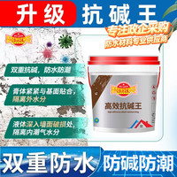 碧家索 墙面返碱发霉掉皮处理抗碱克星封闭底漆净味腻子补墙膏墙体反碱防潮消碱抗碱王5kg