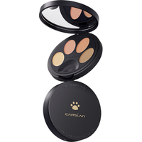 CARSLAN 卡姿兰 小夜猫遮瑕