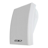  SAST/先科 无线 壁挂音响  白色