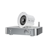  BALEY/八雷 发烧级 吸顶音响