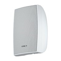  SAST/先科 商用 壁挂式音响  白色