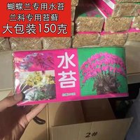 蝴蝶兰水苔