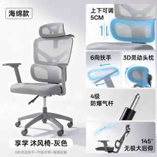 享学 人体工学椅 4级气杆+4向动态撑腰+6D扶手+3D头枕