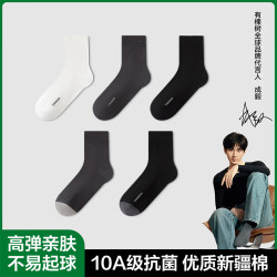 YOUKESHU 有棵树 男士中筒袜 10A 5双装