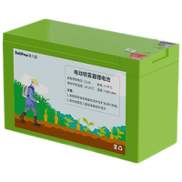 Delipow/德力普 大容量 12V锂电池+免焊插线+夹子充电器
