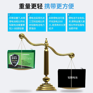  Delipow/德力普 大容量 12V锂电池电动喷雾器+免焊锡插线+品字充电器  1粒