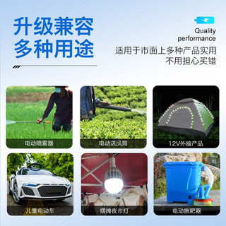  Delipow/德力普 大容量 12V锂电池电动喷雾器+免焊锡插线+品字充电器  1粒
