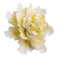 德化非遗手工陶瓷牡丹花花朵摆件中式客厅酒柜桌面花瓶装饰工艺品